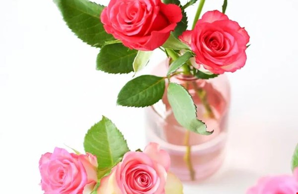 Pretty pink