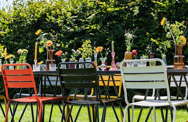 Kleur in je tuin met MaximaVida