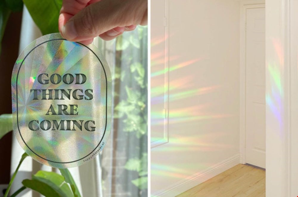 Regenbogen voor de geslaagde! Regenbogen voor de geslaagde!