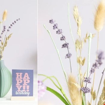Met deze Lavendel Pracht verstuur je eigenlijk de geuren van de Provence 