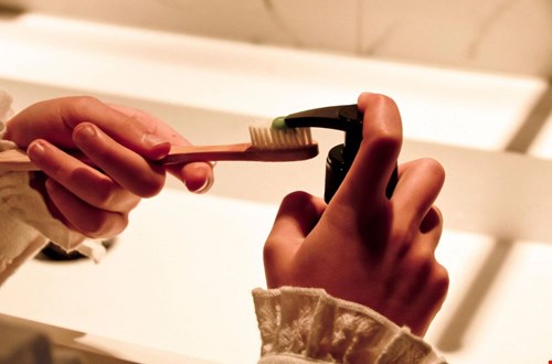 rebloomcare.com rebloomcare.com