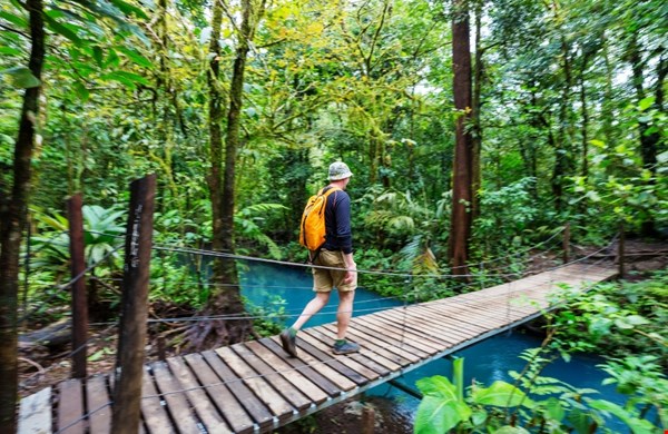 Van safari tot nevelwoud: kies jouw volgende droomreis Van safari tot nevelwoud: kies jouw volgende droomreis