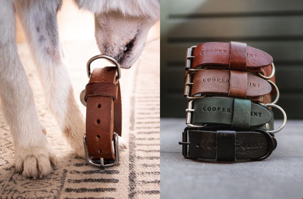 Check Cooper & Quint voor halsbanden met de naam van je hond Check Cooper & Quint voor halsbanden met de naam van je hond