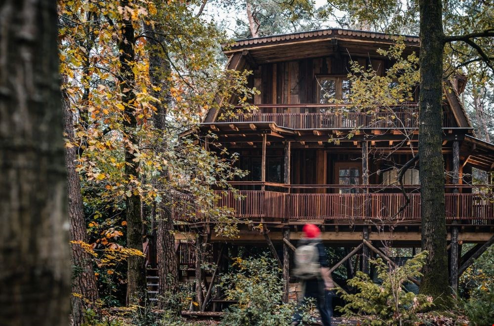 Deze te gekke boomhut vind je in de bossen van Retie.
