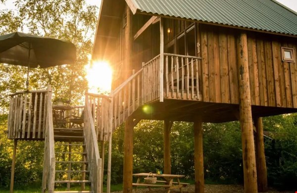 Boomhut Overijssel