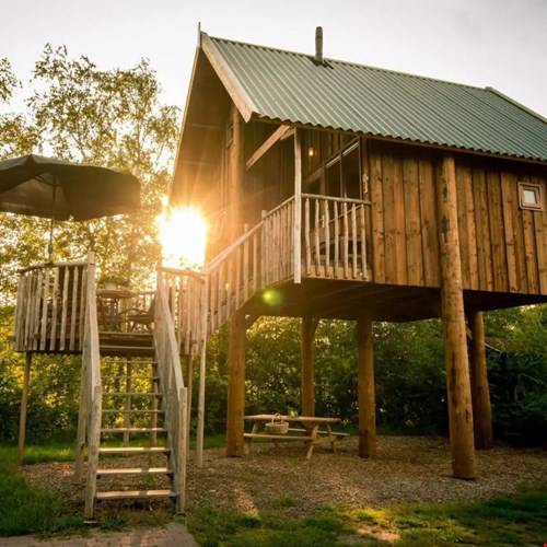 Boomhut Overijssel