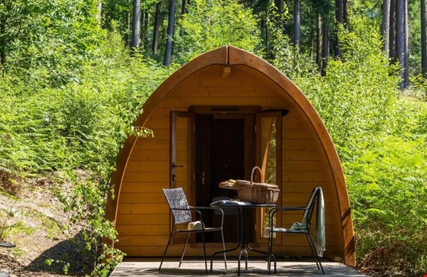 Luxe pod in het bos