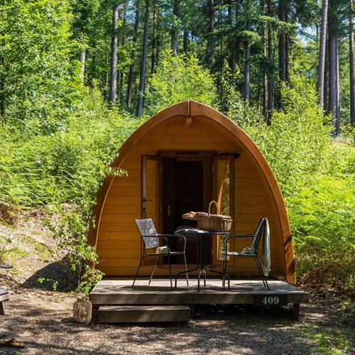 Luxe pod in het bos