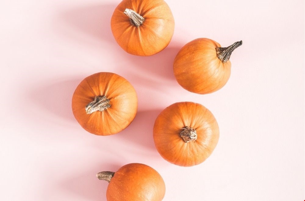 De pompoen is in het seizoen