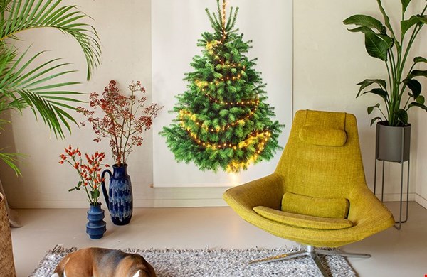 Klassieke spar large