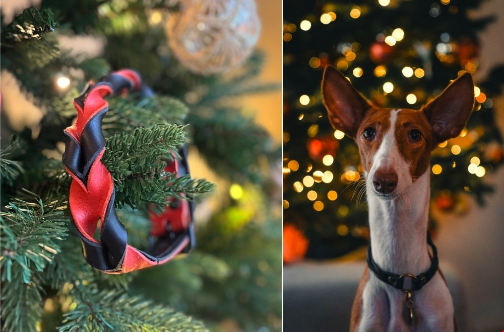 8. Bij Cooper & Quint vind je cadeaus waar honden en hun baasjes blij van worden!