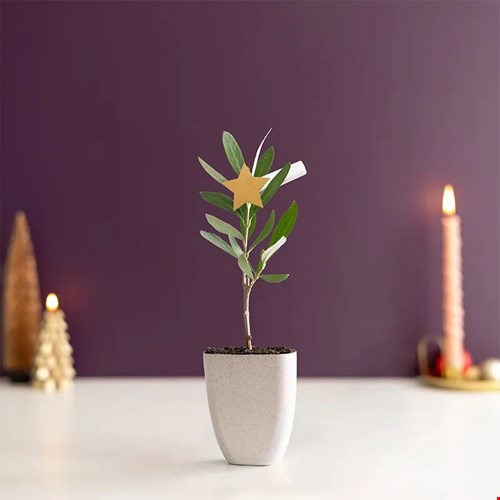 Mini kerstboom