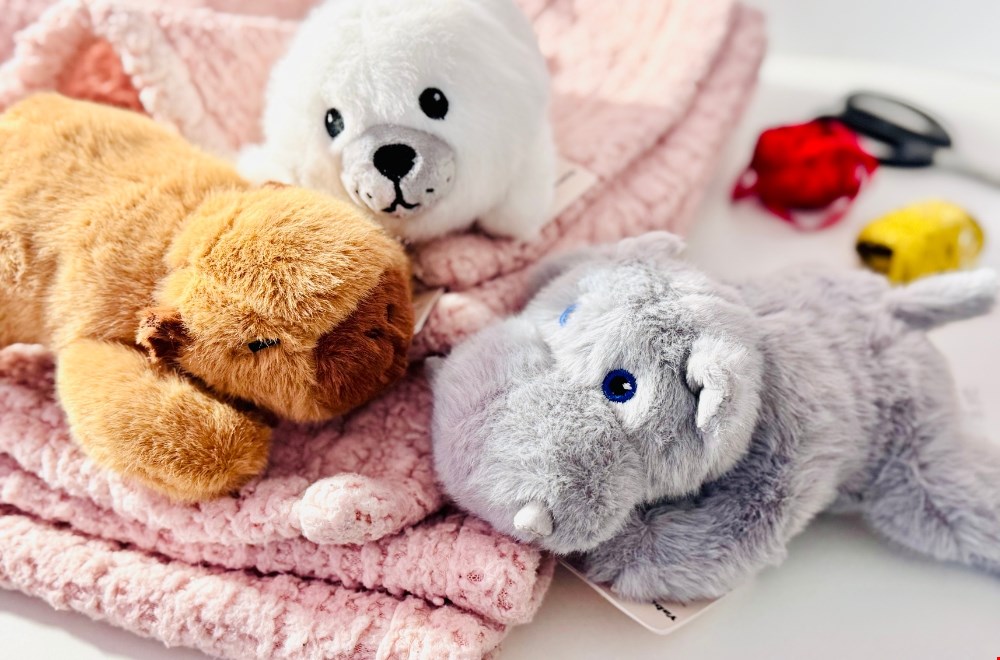 Van kawaii stationery tot zachte knuffels, je vindt het bij CuteStuff