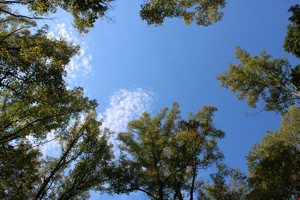 Zwanger en bezorgd over PFAS? Zo creëer je een veilige cocon