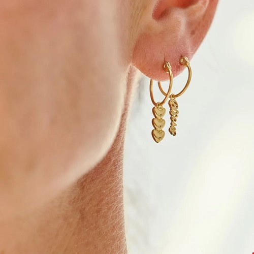 Oorbellen met hartjes