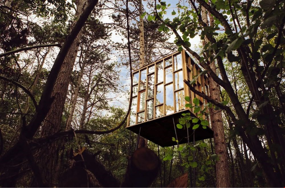 Verscholen tussen de bomen 'hangt' deze glazen cabine