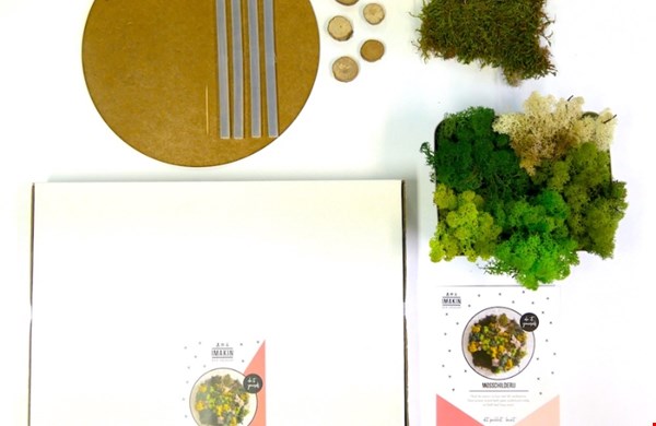 Mosschilderij pakket