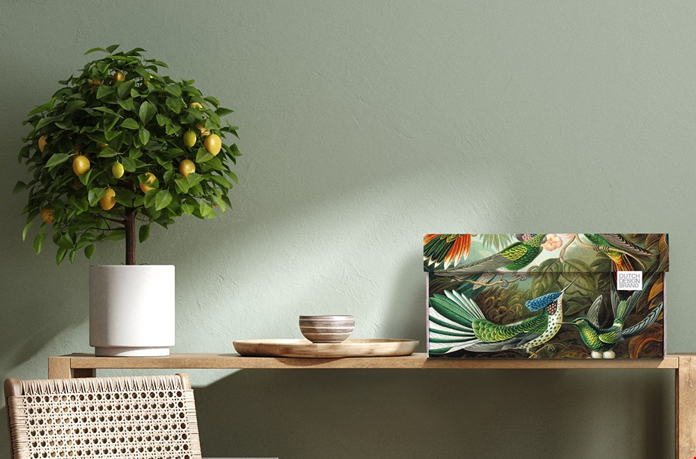 dutchdesignbrand.com