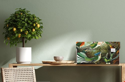 dutchdesignbrand.com