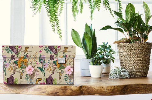 dutchdesignbrand.com