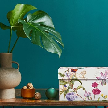 dutchdesignbrand.com