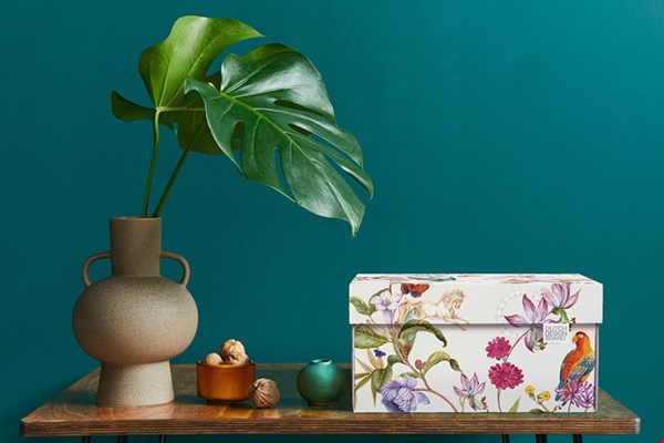 dutchdesignbrand.com