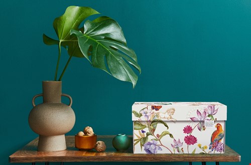 dutchdesignbrand.com