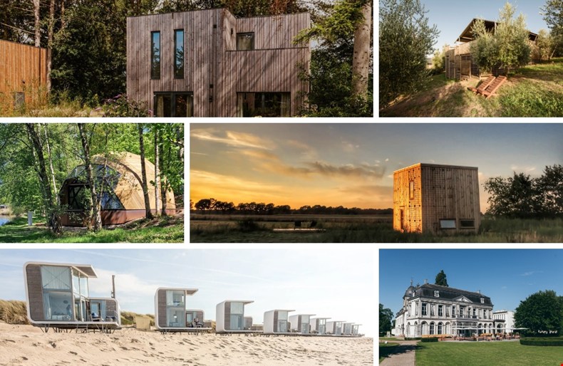 Van de Waddeneilanden tot Toscane: dit zijn de leukste plekken waar je hond gewoon mee mag