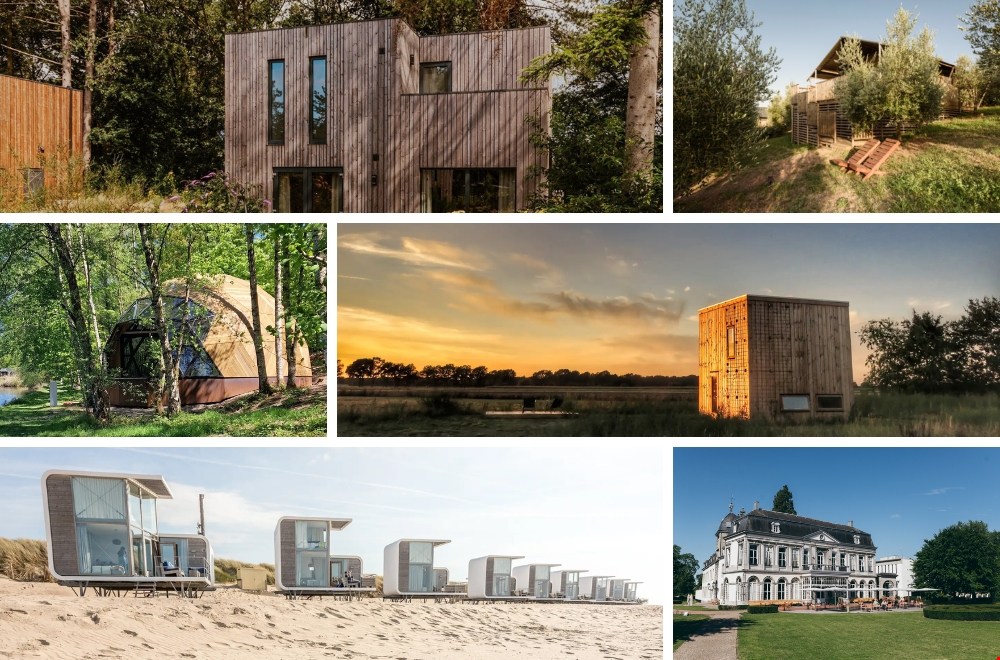 Van de Waddeneilanden tot Toscane: dit zijn de leukste plekken waar je hond gewoon mee mag