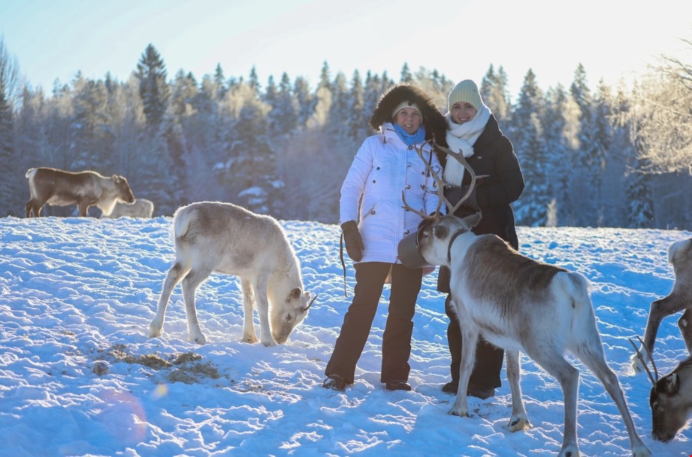 Fotocredits: Dutch Husky