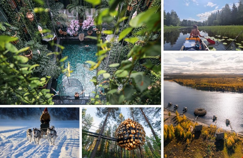 Vakantie in Scandinavië: 5 bijzondere manieren voor een perfecte coolcation