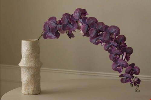 poppyflowers.shop