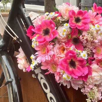 poppyflowers.shop