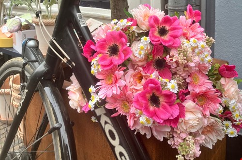 poppyflowers.shop