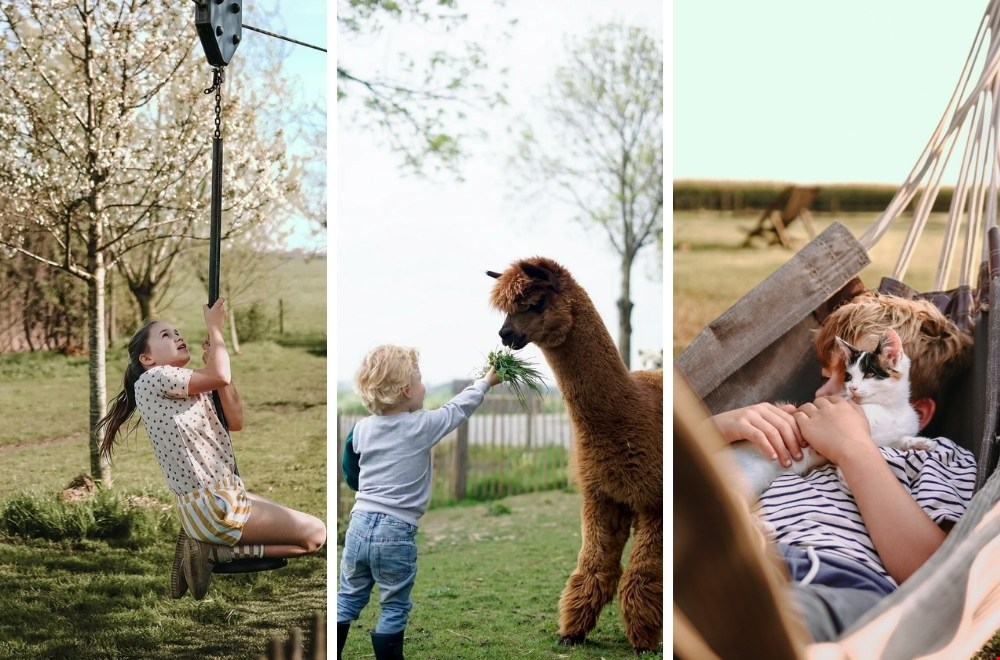 WIN een vakantie voor het hele gezin bij BoerenBed Hoeve de Betuwe!