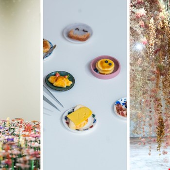 5 leuke musea voor een zomers dagje uit in Nederland, van Rotterdam en Amsterdam tot Maastricht en de Veluwe.