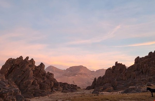 Offline Trek