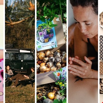 Even offline: 5 leuke dingen om te doen zonder scherm