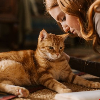 Cadeaus voor dierenliefhebbers