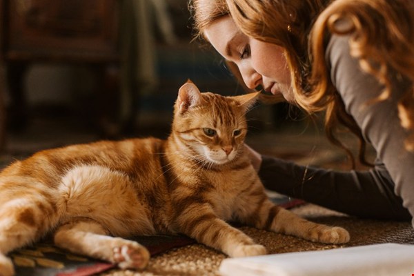 Cadeaus voor dierenliefhebbers