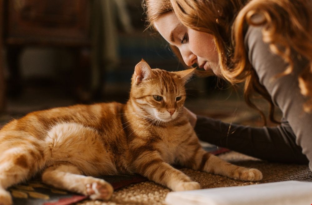 Cadeaus voor dierenliefhebbers