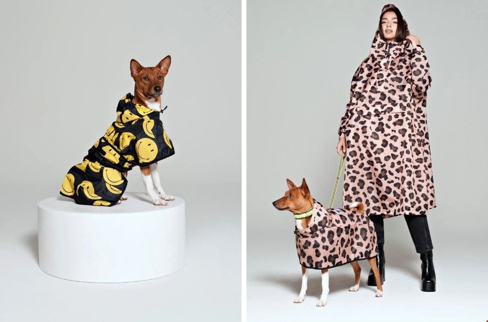 Hond in kleurrijke Rainkiss hondenponcho voor regenachtig weer