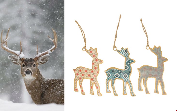 Rudolph in de boom Rudolph in de boom