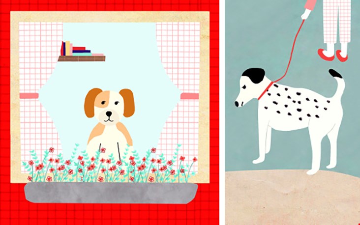 Meer mooie illustraties uit het prentenboekje dat geschreven is door Marjolein en haar man Meer mooie illustraties uit het prentenboekje dat geschreven is door Marjolein en haar man