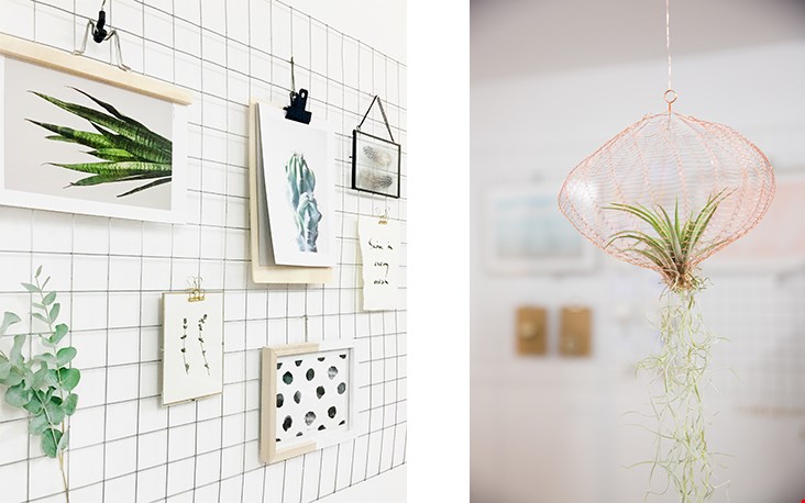 Gespot in de winkel van Brainydays.nl Gespot in de winkel van Brainydays.nl