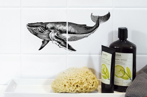 noussconceptstore.com noussconceptstore.com