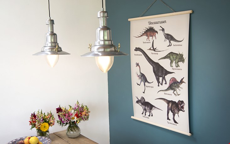 Hier maak je kleine mannen blij mee; een dino poster! Hier maak je kleine mannen blij mee; een dino poster!
