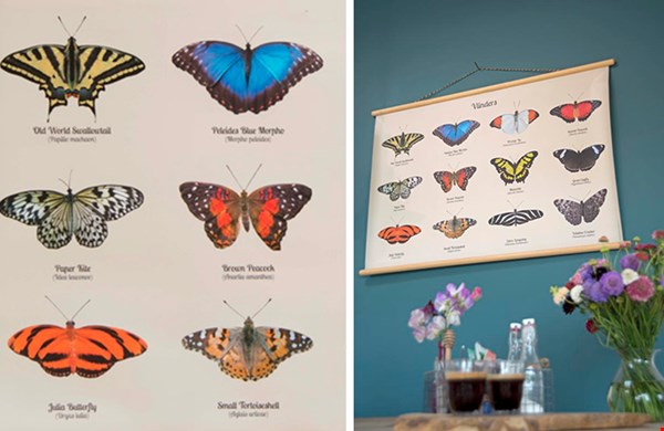 Mijn persoonlijke favoriet, de poster met vlinders die ik in mijn slaapkamer heb hangen