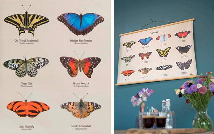 Mijn persoonlijke favoriet, de poster met vlinders die ik in mijn slaapkamer heb hangen Mijn persoonlijke favoriet, de poster met vlinders die ik in mijn slaapkamer heb hangen