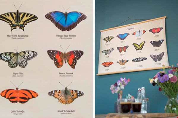Mijn persoonlijke favoriet, de poster met vlinders die ik in mijn slaapkamer heb hangen Mijn persoonlijke favoriet, de poster met vlinders die ik in mijn slaapkamer heb hangen